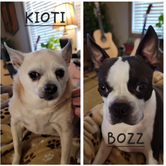 Pop Ups Only For Now - Picture 7 of 12